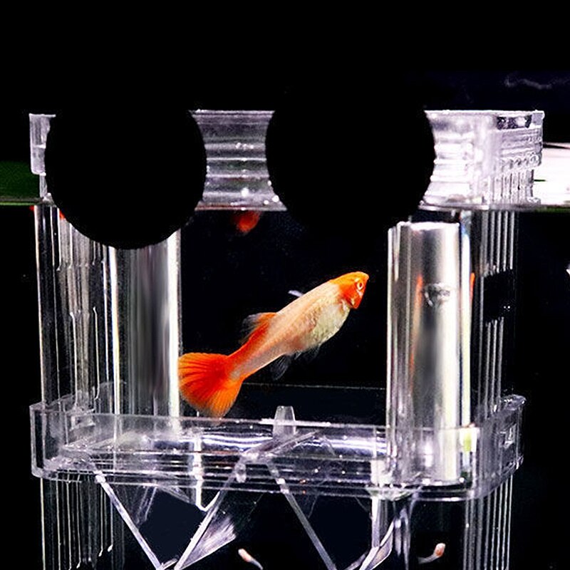 Ecological Aquarium Fish Tank Double-Deck Fish Breeding Isolation Box Durable Acrylic Fish Tank Aquarium Accessories