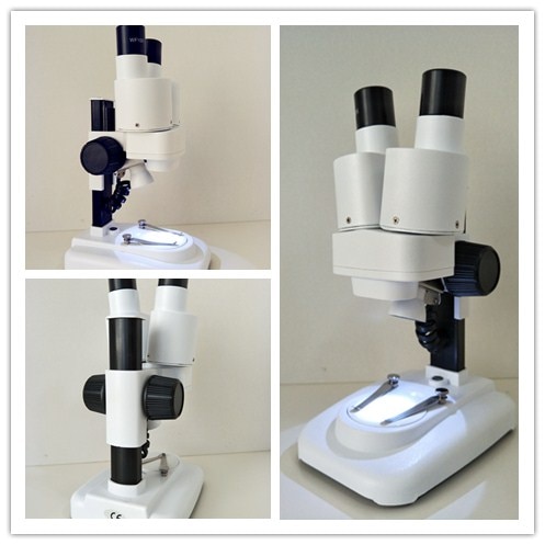 20X LED Binocular Stereo Microscope PCB Solder Tool Insect Plant Watch Student kids Microscope