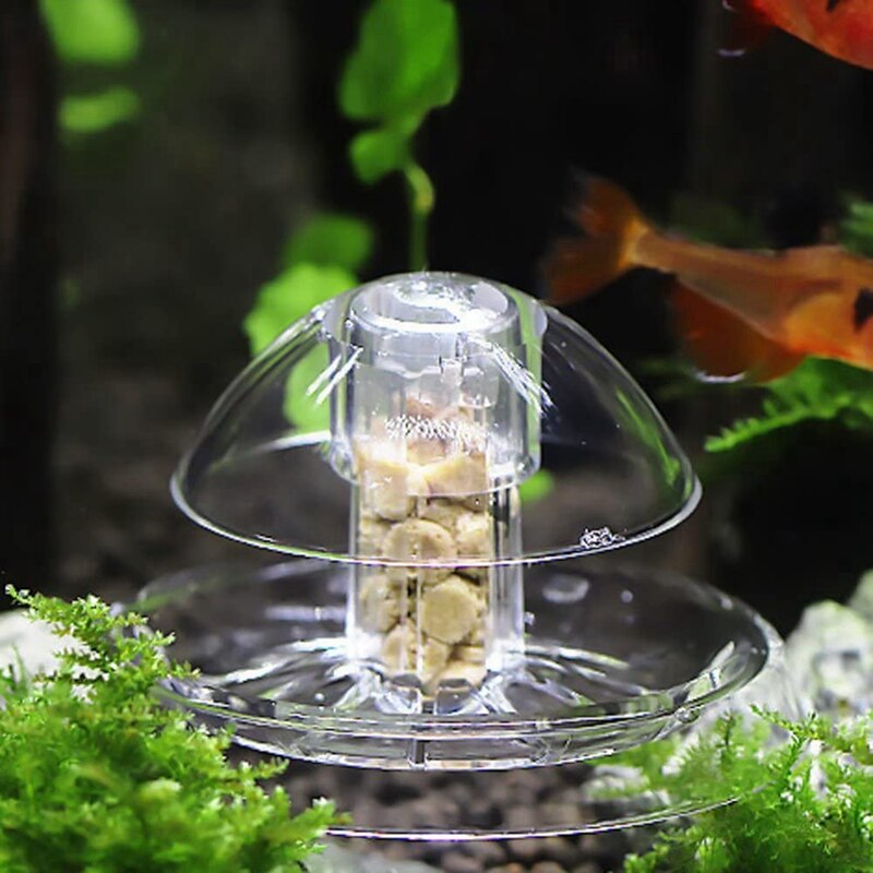 Piège à escargot pour Aquarium 6cm, 2 pièces, en plastique transparent, attrape-sanglier planaire