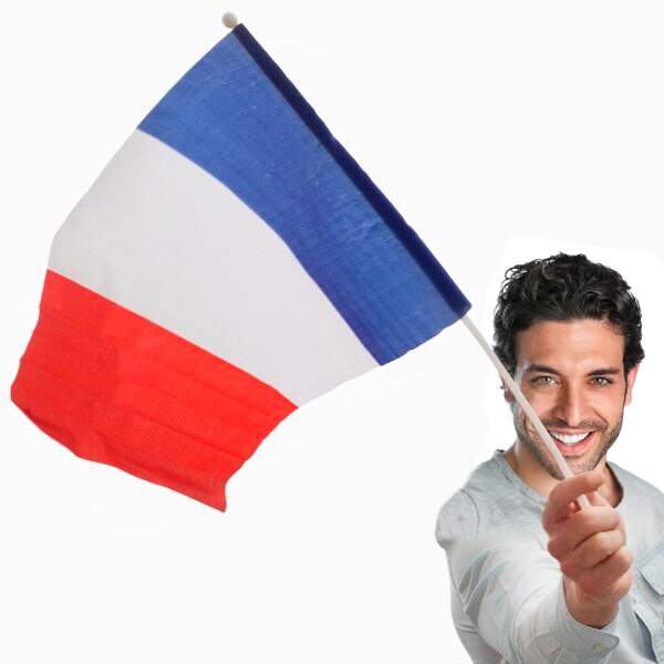 Franse Vlag Met Pole (46X30 Cm)