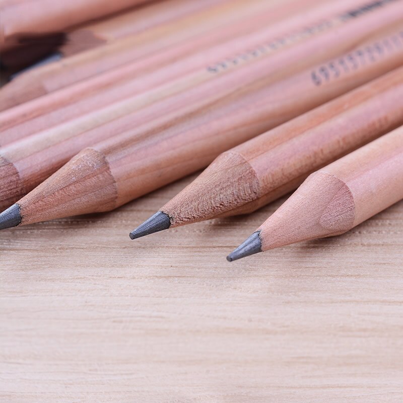 Premium 12 Gray Level 2H-8B Wooden Lead Pencils for Sketching Drawing Painting Art Supplies with Metal Box