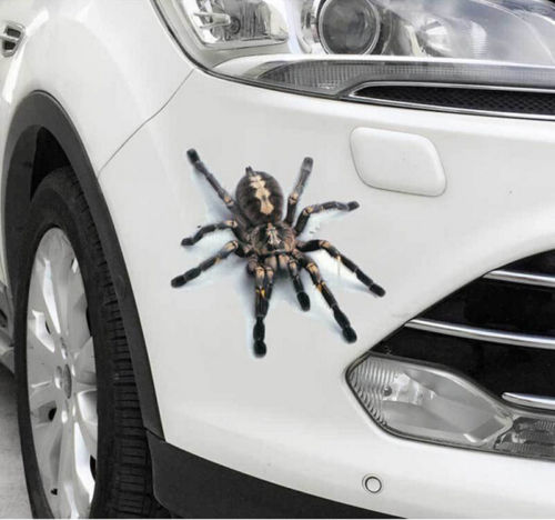 Grappige 3D Auto Sticker Gluren Ogen Amusing Decal Achterruit Boot Monster Scary Decal Auto Sticker Scratch Cover Auto Stickers: Black Spider