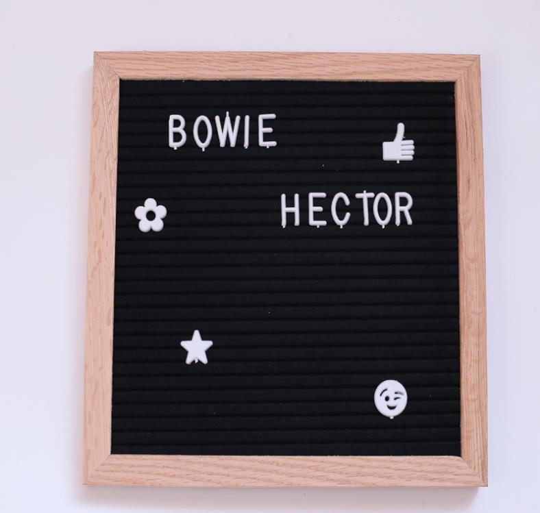 Changeable Felt Letter Board Menu Message Bulletin Board Grey Pink white Letter Baby Shower Sign Wedding Party Sign: Black