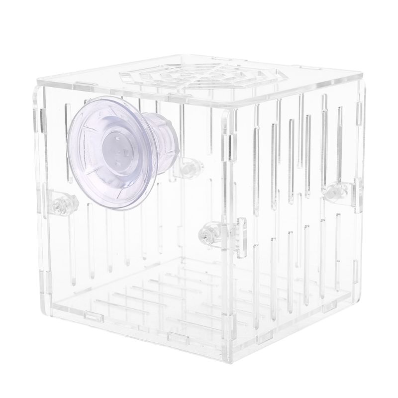 Acrylic Aquarium Fish Breeding Isolation Box With Sucker for Baby Fish Hatchery Incubator Cage