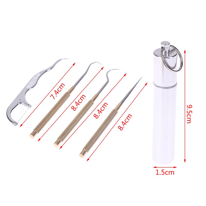 5Pcs Reusable Toothpick Travel Fruit Fork Metal Flossing Teeth Cleaning Tool Portable Stainless Steel Metal Toothpick