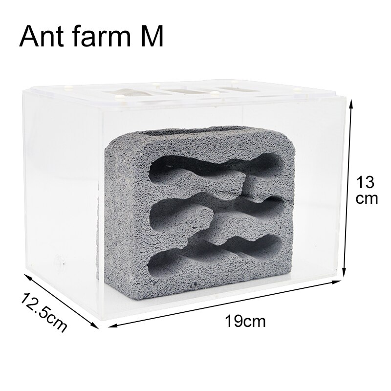 Fourmilière en acrylique pour fourmis, nid en béton respirant et hydratant avec zone d'alimentation, fourmilière, atelier pour animaux de compagnie, 26x15x15.5cm: ant farm M