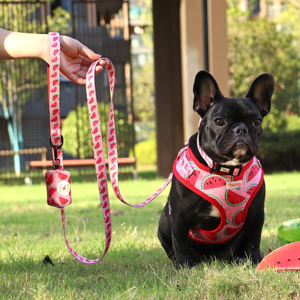 Print Dog Collar Harness Leash Poop Bag Set Adjustable Pet Collars Vests For Small Medium Dogs Pets Walking Rope Garbage Bags