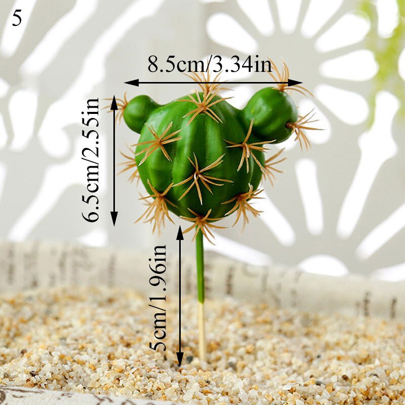 Graines de graines pour Aquarium, plante aquatique, graines faciles, Aquarium, aménagement paysager: 5