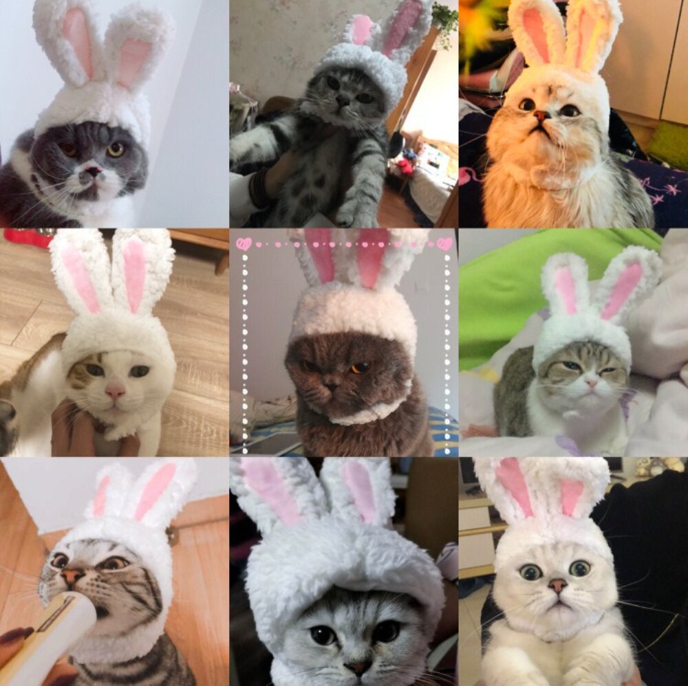 Rolig hund katt keps kostym varm kanin hatt årsfest jul cosplay tillbehör foto rekvisita huvudbonad katt kostymer