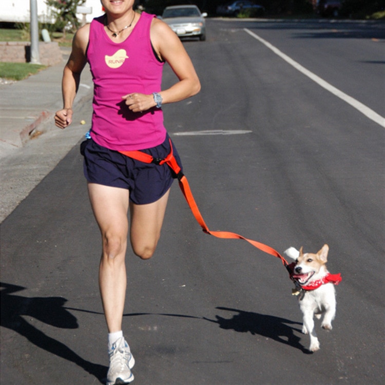 taille pet hondenlijn running jogging Nylon puppy halsband lood sport verstelbare walking leash voor kleine honden
