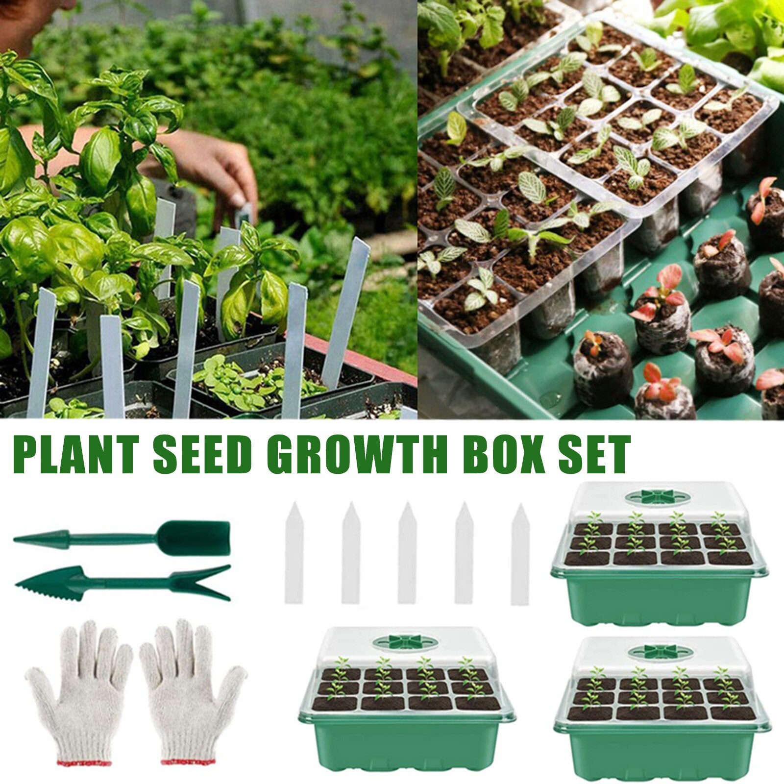 3 Piece Indoor Greenhouse Propagation Box Mini Greenhouse Propagation Set Growing Box Base Garden Seeding Case Plant Nursery