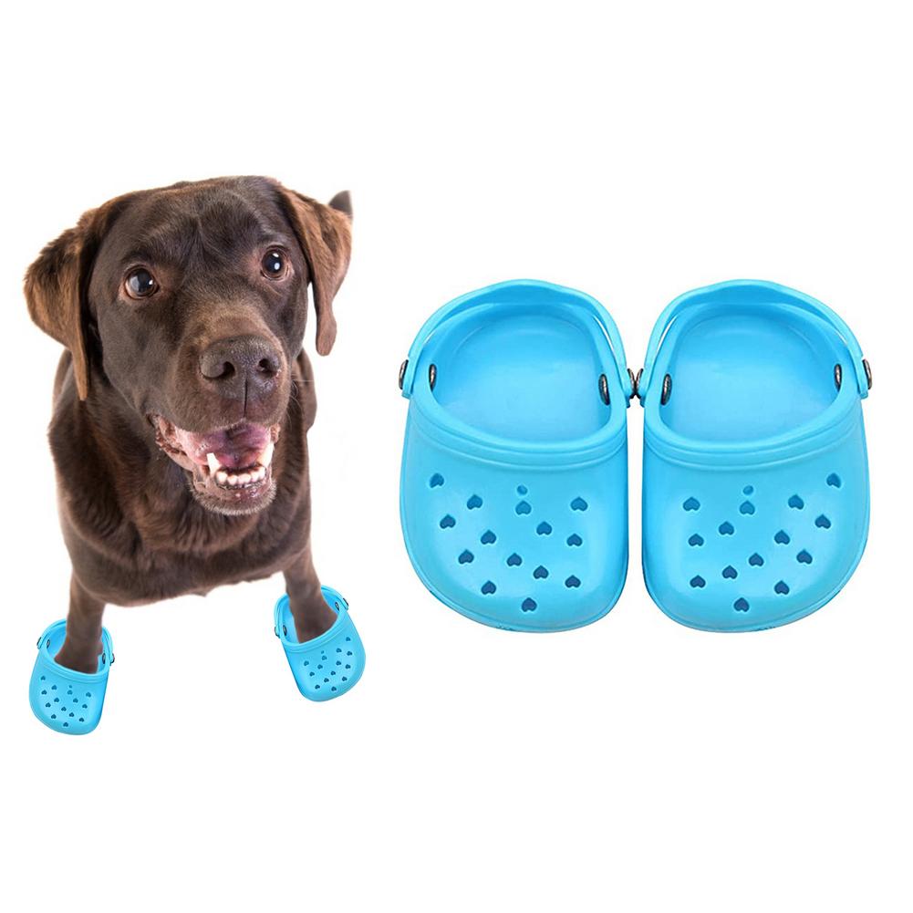 Haustier Schuhe Atmungs Sandalen Für Kleine Hunde Süssigkeit Farbige Löchrigen Schuhe Sommer Hund Schuhe Atmungsaktives Gittergewebe Welpen Für Kleine Haustier: Blau