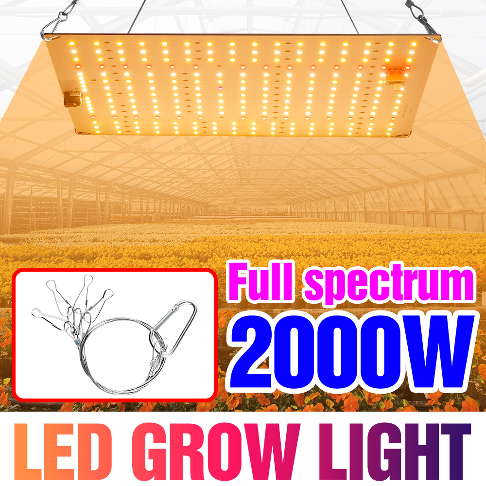 Lámpara Phyto de espectro completo para cultivo de plantas, luz LED de tablero cuántico para invernadero, tienda de cultivo, luces de plantación, 2000W, 3000W, 2835 W
