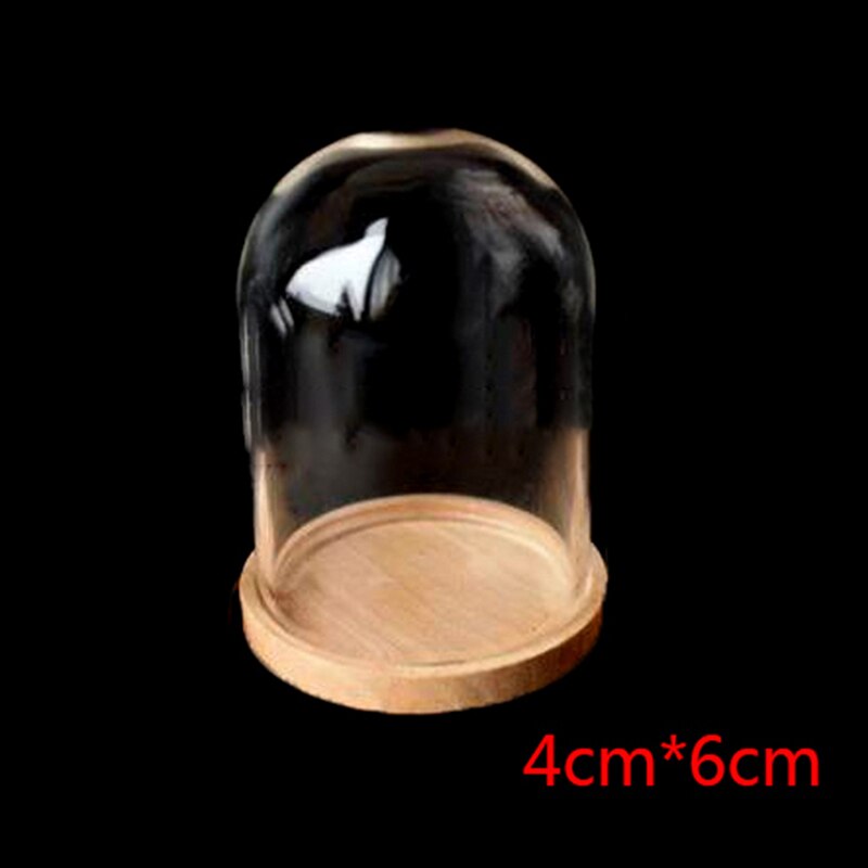 Pot de cloche à affichage en verre Miniature 1:12, avec Base, accessoires de décoration pour maison de poupée, 1 pièce: CYTOY908-B