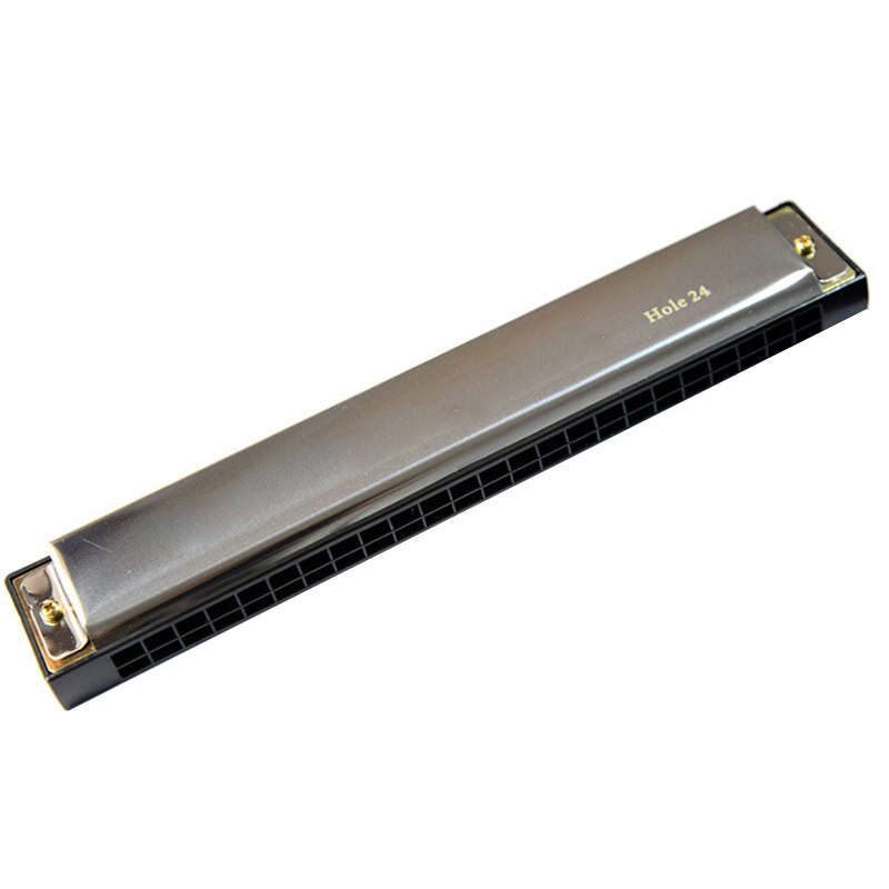 Professionele Harmonica In C Sleutel Met Case 10/24 Gaten Voor Beginer Band Speler En Studenten Te Dragen MC889: Silver 24 Holes