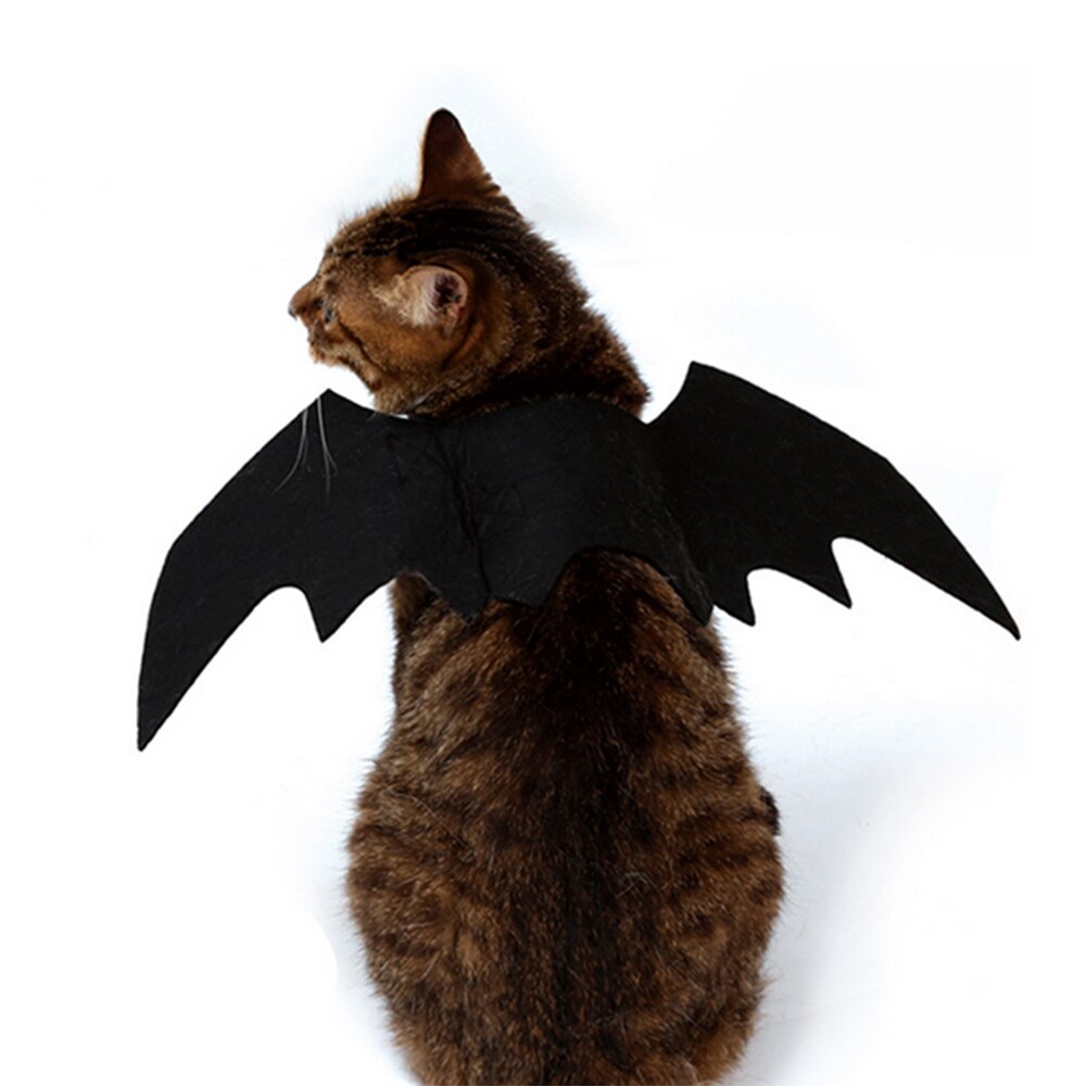 gatto costume di Halloween di Alimentazione Nero Vestito Carino Ali di Pipistrello Puntelli canna Cucciolo Gattino di Stoffa Del Capo del Vestito Operato animale vestire su accessorio