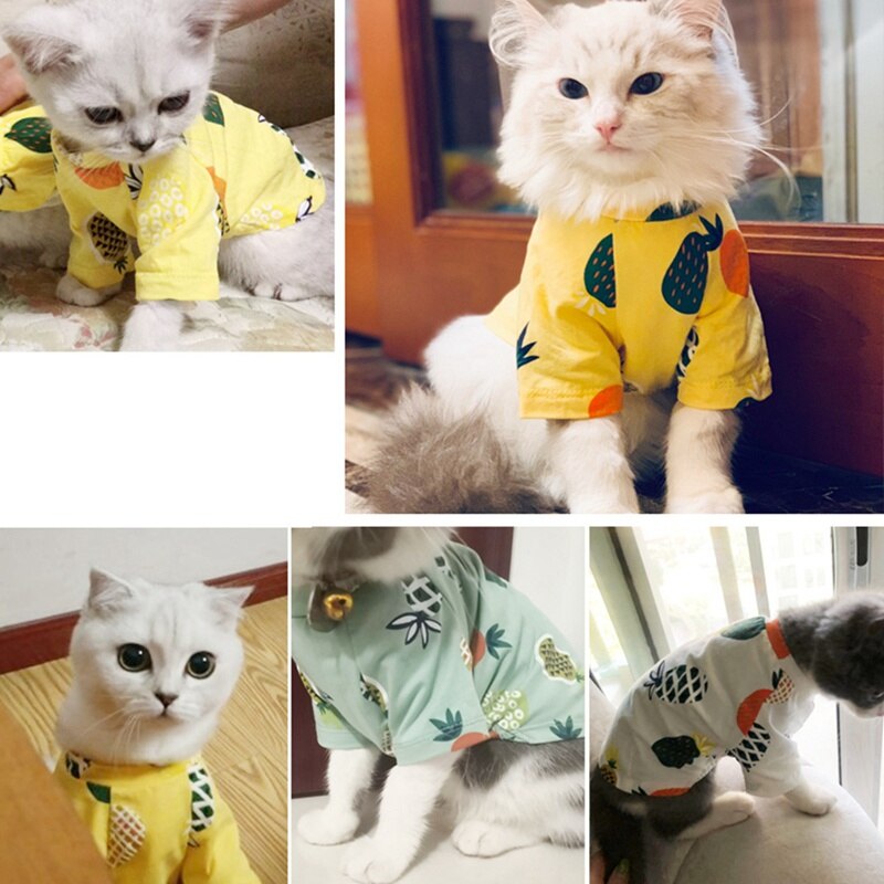 Kesäeläimet t-paita ananas pentu koira kissa lemmikki koiran vaatteet kissat yorkien mekot pehmeät puuvillaiset chihuahuavaatteet