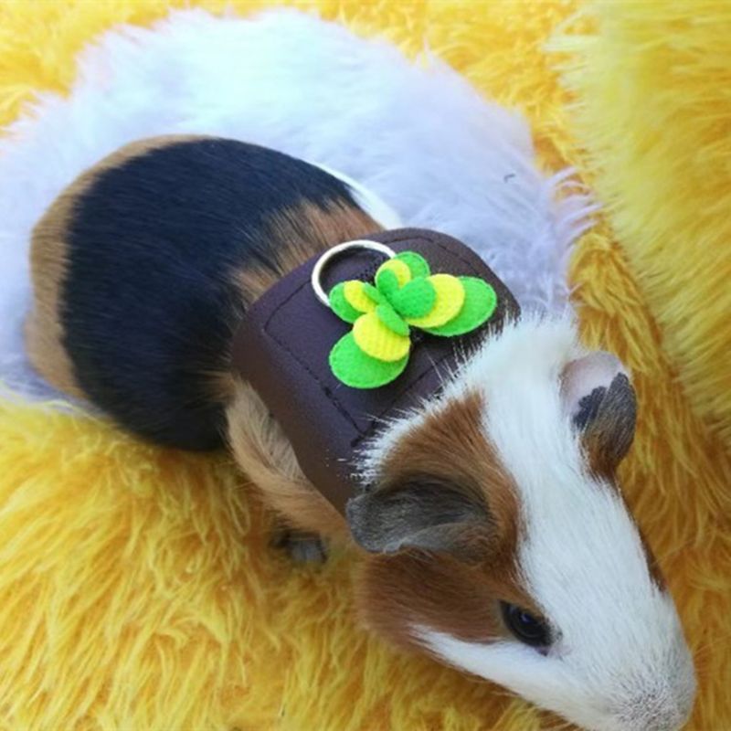 Hamster Harnas Vest Verstelbare Leash Set Voor Cavia Chinchilla Muizen Rat Fret Klein Dier Accessoires