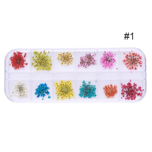 1 doos Kleurrijke Natuurlijke Droge Bloemen Bloemen Gemengde Patronen 3D Nail Art DIY Decoraties Gereedschap Voor UV Gel Polish: Pattern 1