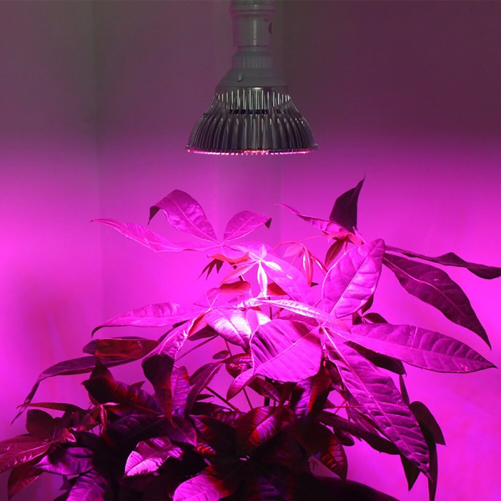 Luces Led de espectro completo 8W-80W E26/27 lámparas Led de cultivo bombillas para invernadero AC85-265V de jardín interior