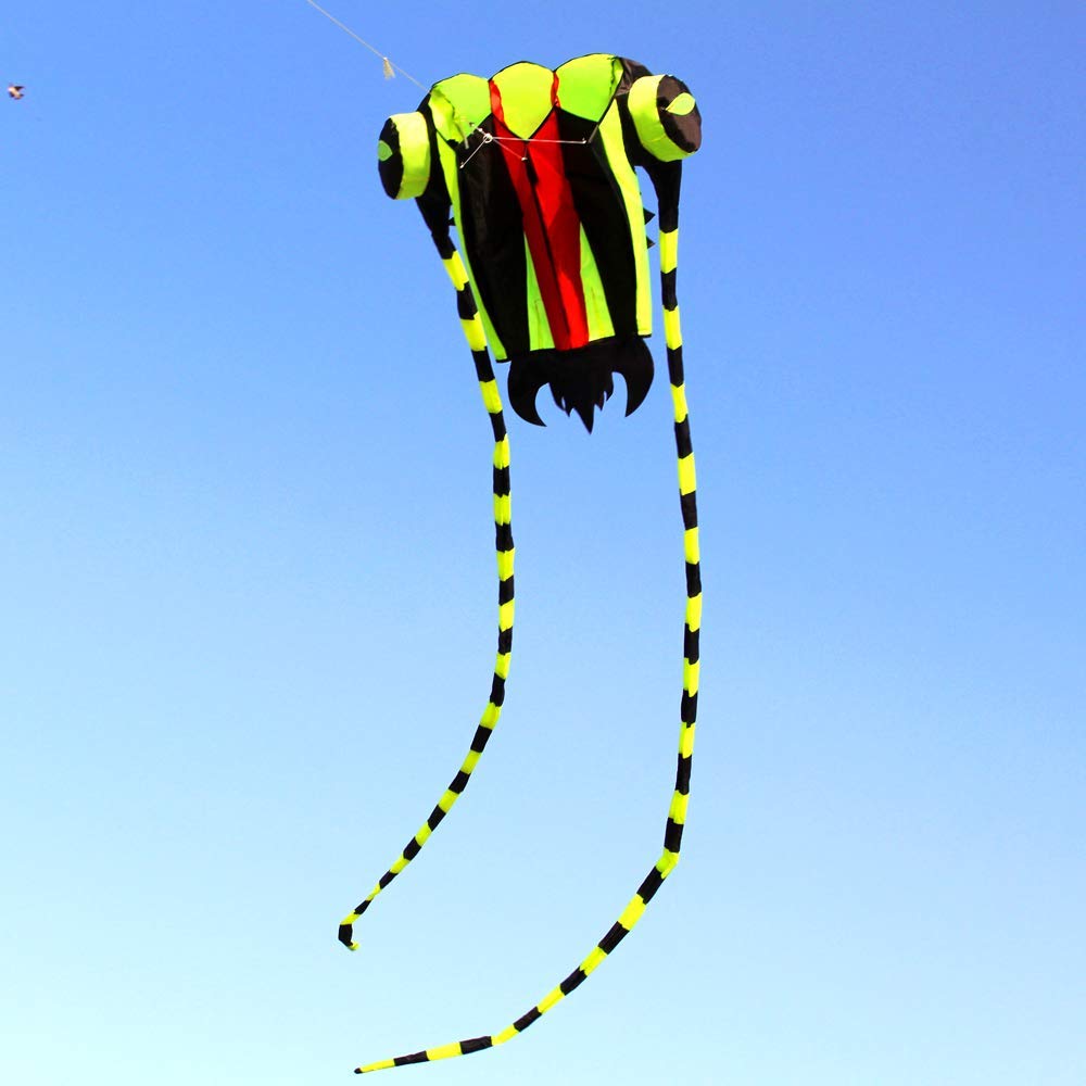 KITE-Large Easy Flyer Soft Kite for Kids-Colorful Green Trilobite-It's Big! 30 Inches Wide with Two 130 Inches Long Tails