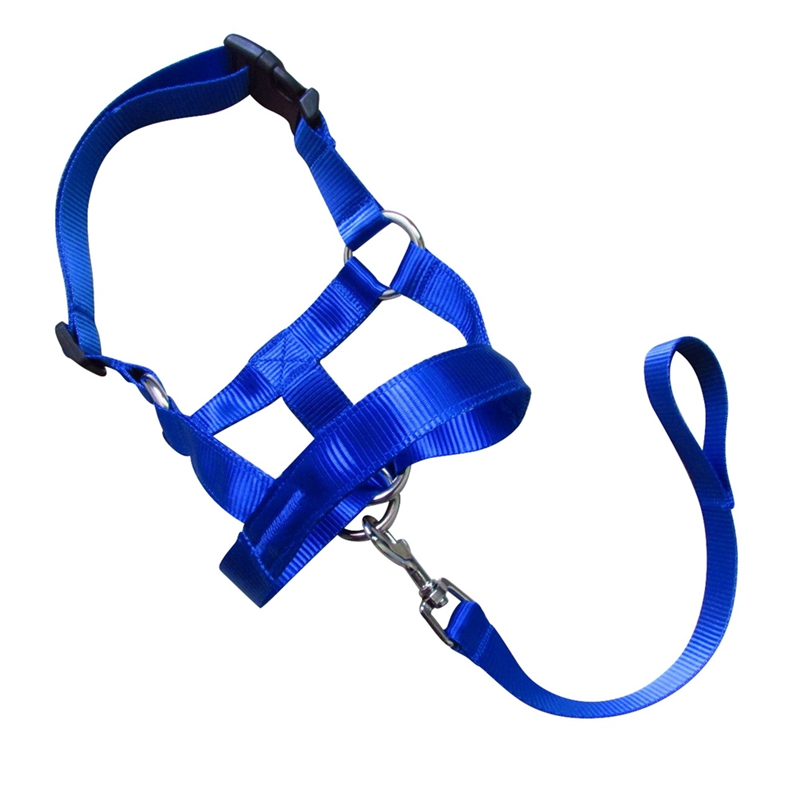 Dog Training Head Collar Dog Mouth Cover Traction Rope No Pull Head Harness Stops Dog Pulling With Head Leash for Dog: Blue / M