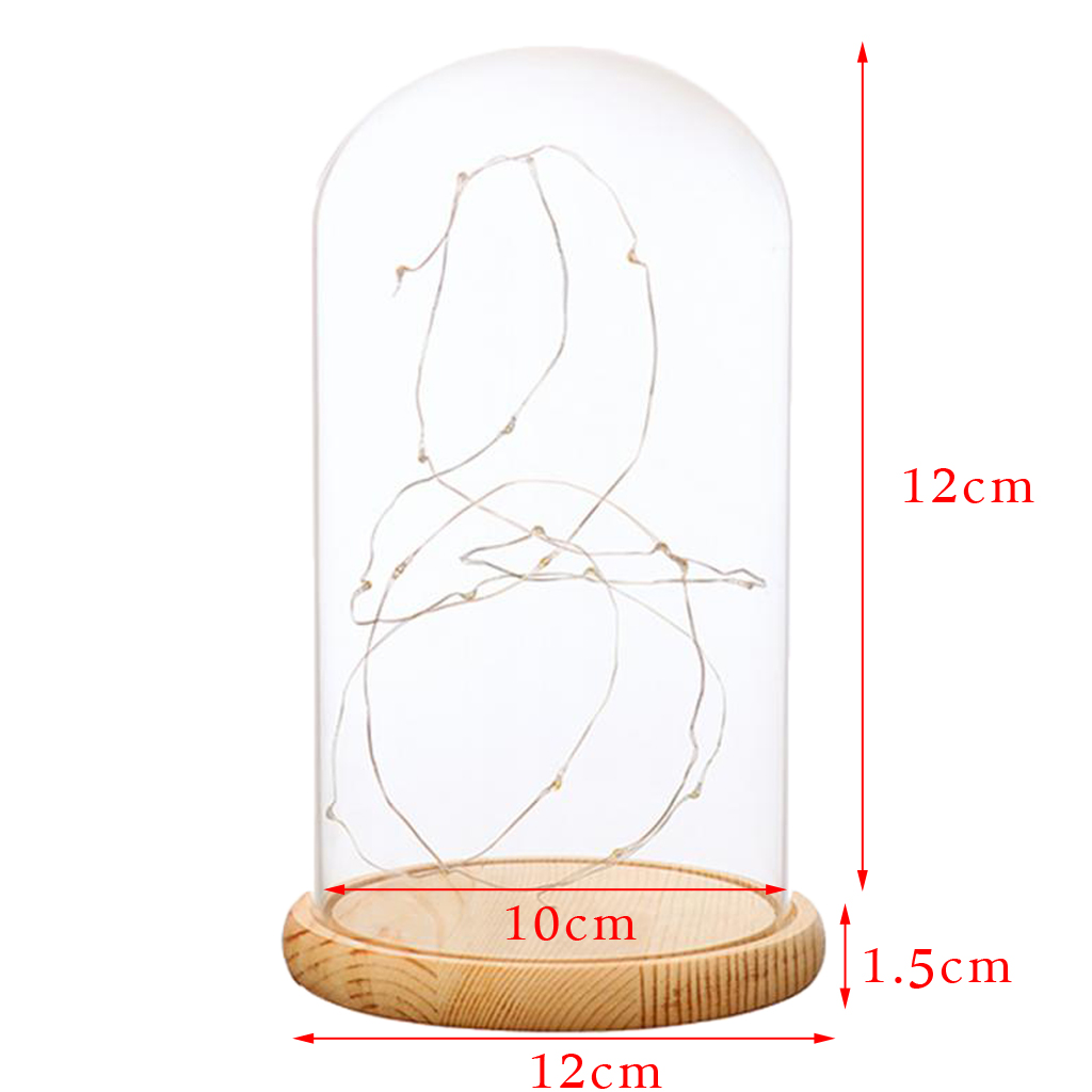 Luces LED con batería, Base de madera, campana de cristal transparente, decoración de mesa, planta, florero, contenedor, paisaje DIY en miniatura: Verde claro
