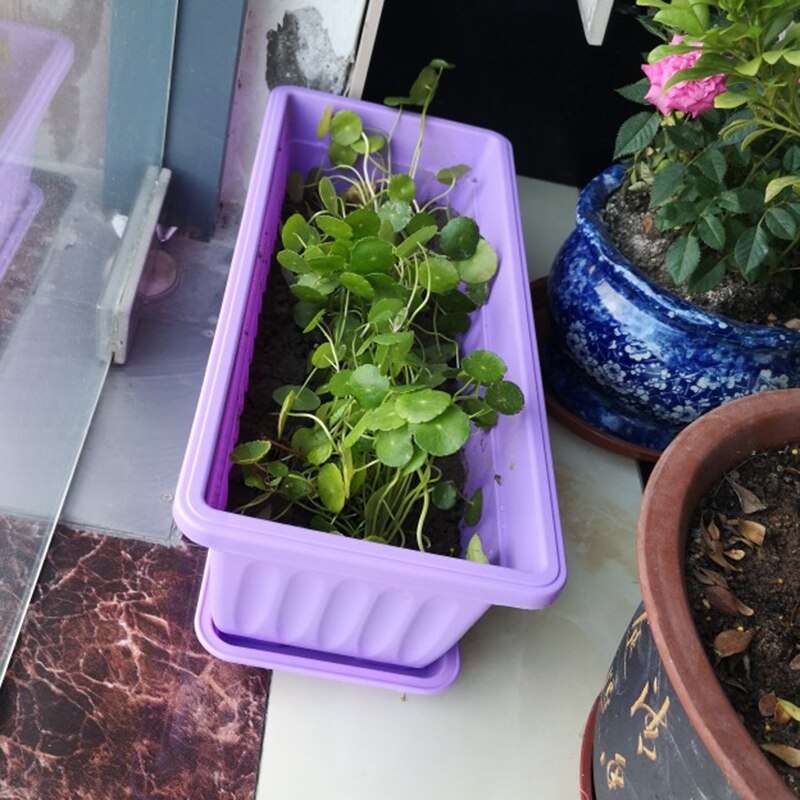 3Pcs 17 Inches Purple Flower Window Box Plastic Vegetable Planters for Window Sill, Patio, Garden, Home Decor, Porch