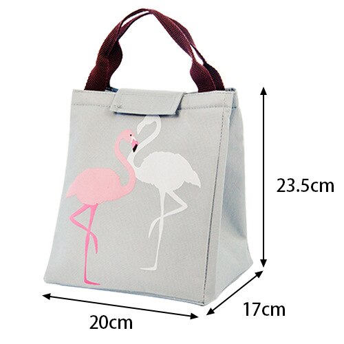 Portable Insulated Lunch Box Portable Cooler Lunch Bag Dinner Container School Food Storage Picnic Trip Cartoon Kids Women: D2  23.5X17X20CM