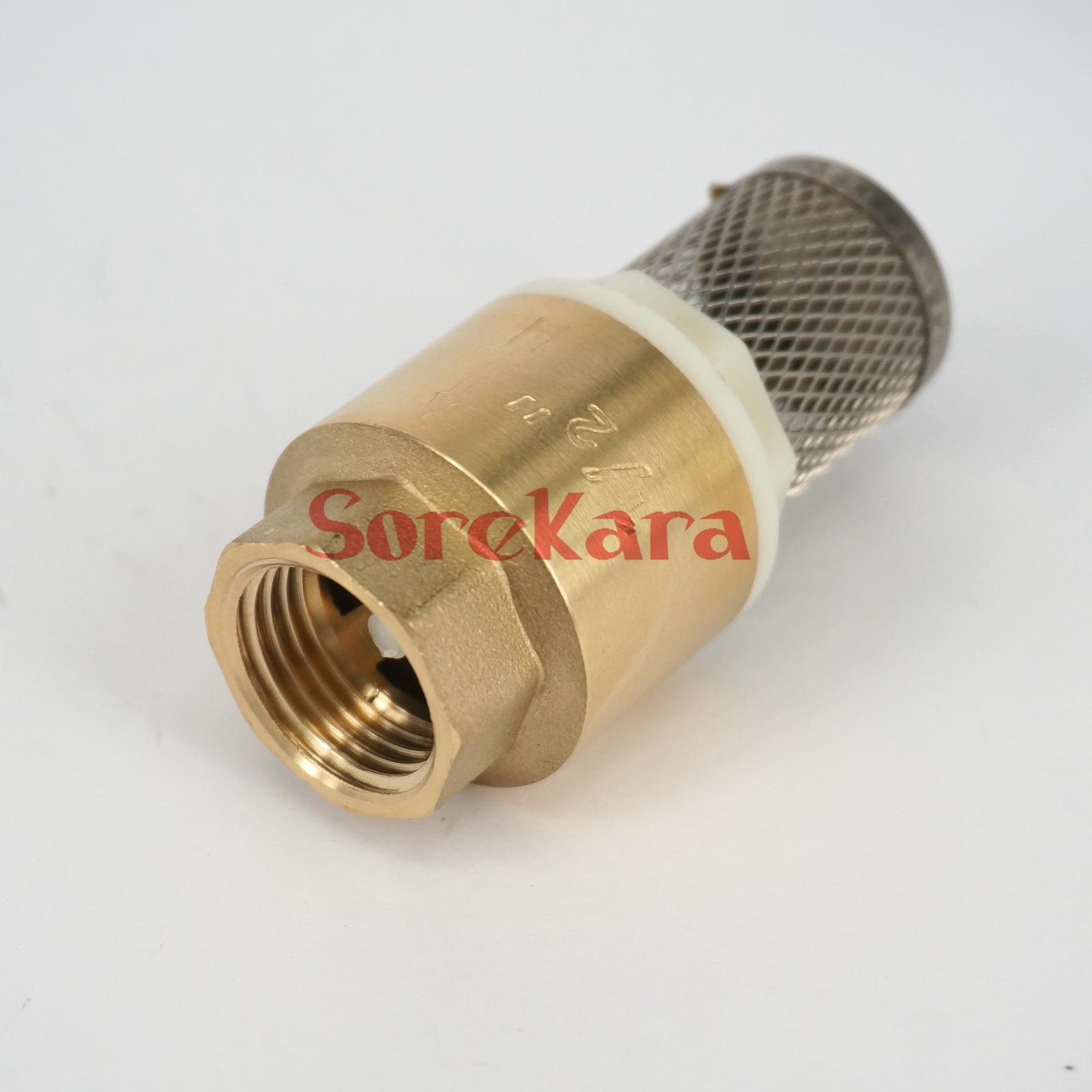 3/4" BSP Female Brass Spring Check Valve With Strainer Filter 1.6Mpa