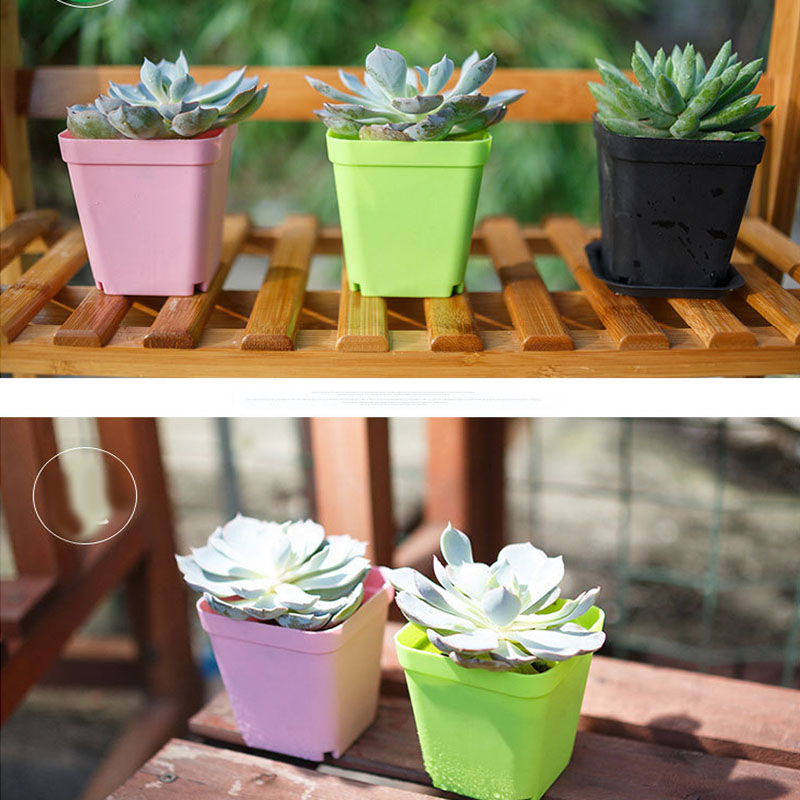 10pcs Mini Square Plastic Plant Flower Pot Home Office Decor Planter Colorful With Pots Trays Green Plant Flower Garden Supplies