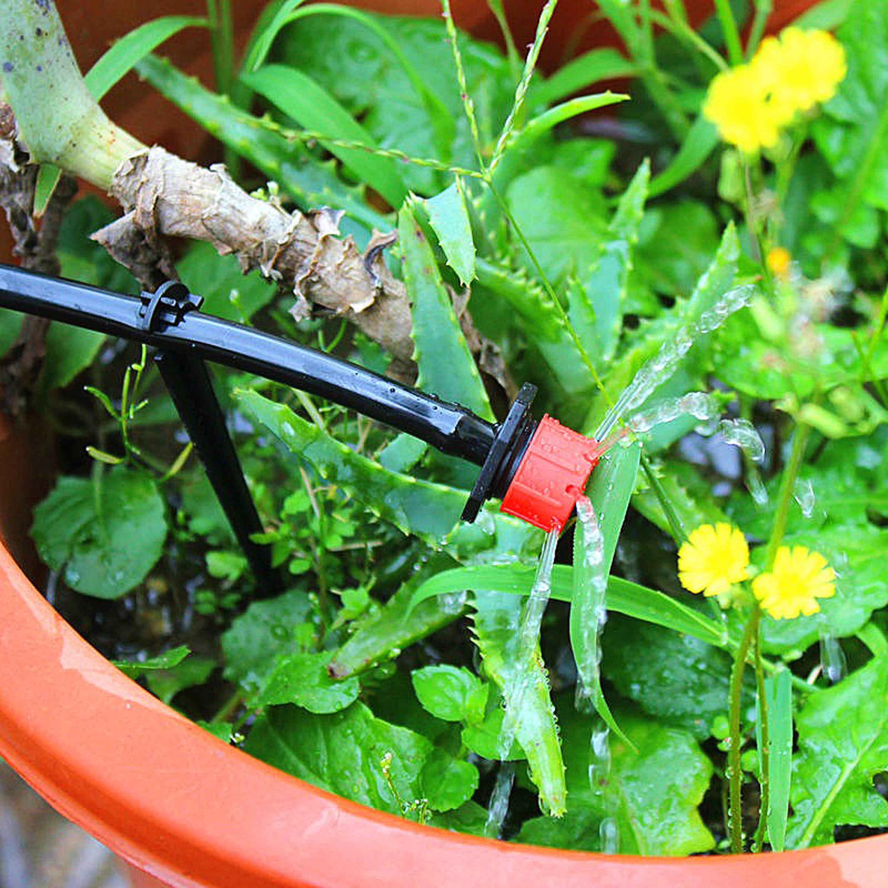 5/10/15/20/25m Garten Bewässerung Bewässerung System Bewässerung Kit mit 4/7mm PVC Schlauch Automatische Bewässerung Beschlagen Sprinkler Tropf