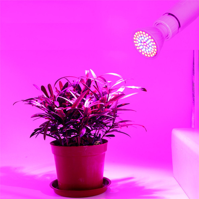 1pc vokse førte lys  mr16/e14/gu10/e27 voksende elektriske pærer  ac220v 60 leds /80 leds lampe plante ledet vokse lampe