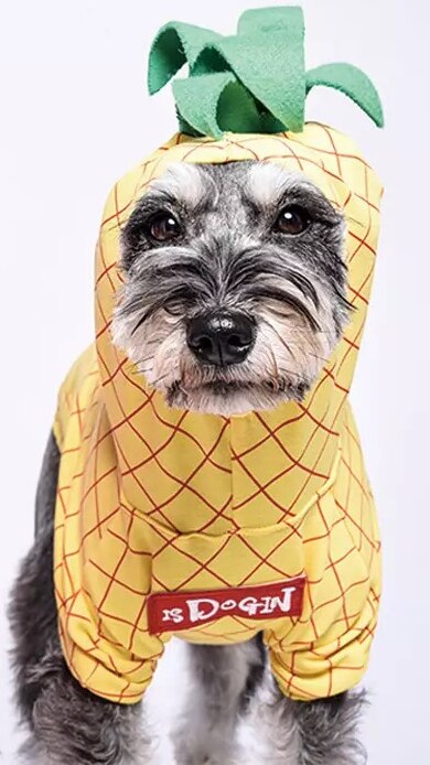 Funny Fruit Puppy Costume Pet Dog Clothes for Small Dogs Chihuahua Pug Cute Hoodies French Bulldog Apple Pineapple Apparel ZZC02: Yellow / M