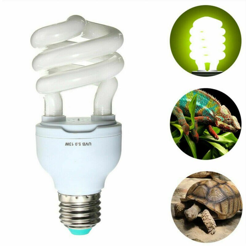 Lampe UV Reptile Pet 13/26W | Éclairage d'habitat, ampoule UVB 5.0/10.0 pour Terrarium de Lizard