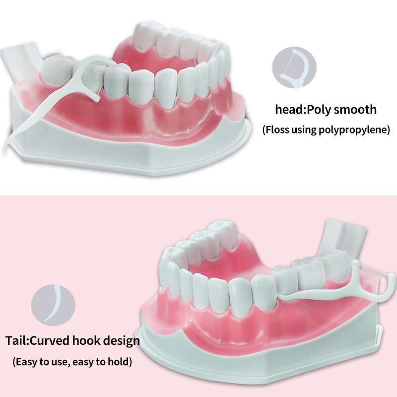 Toothguard 100pcs Ultra Thin Dental Floss Tooth Picks Clean Between Teeth Toothpicks With Thread Disposable Dental Flosser