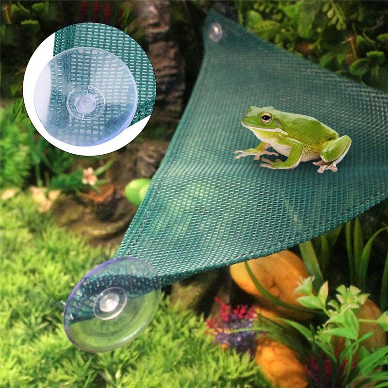 Rettile amaca traspirante Mesh triangolare Habitat lettino ponte Decor per prodotti di arrampicata lucertola drago barbuto