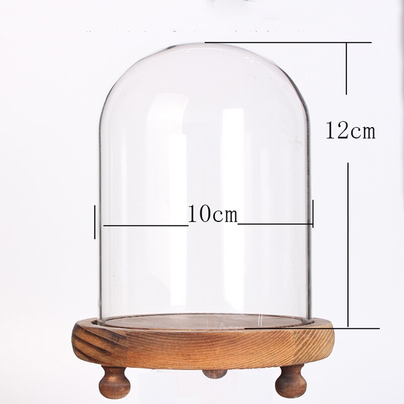 Glass Dome display case for Preserved Flowers bell jar with Wood Base Home wedding dia 10cmor 3.9inch height 12 cm or 4.7inch