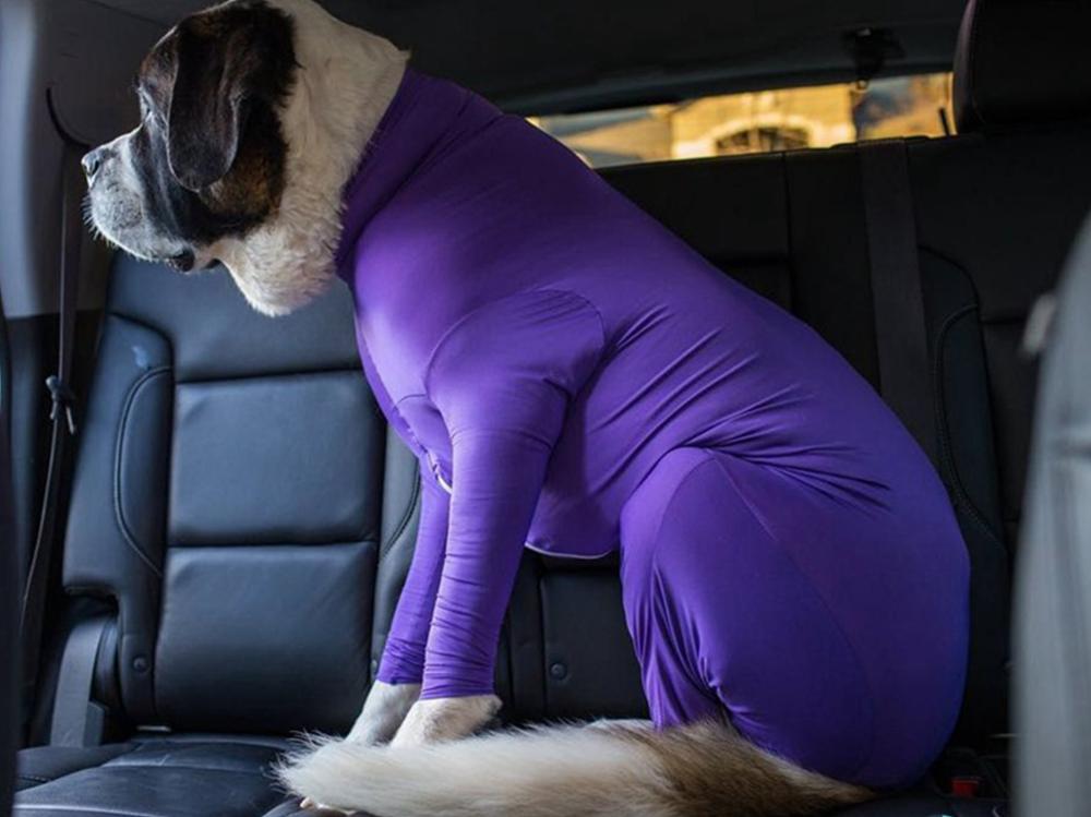 Hond Strakke Kleding Voor Golden Retriever Grote Honden Pet Warme Kleding Outfit Vest Voor Small Medium Honden Geen Huisdier haar Overal