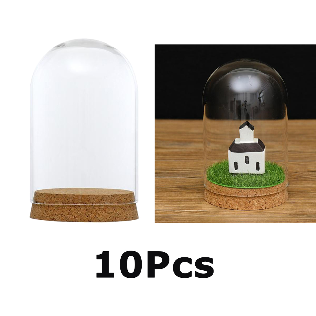 Pantalla De Vidrio Cloche Dome Diy Glass Cloche Bell Jar Z | Cuotas sin