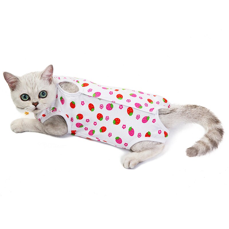 Frühling Sommer Katze Sterilisation Anzug Anti-lecken Chirurgie Nach Erholung Haustier Pflege Kleidung Atmungsaktive Katzen Entwöhnung Anzug: Erdbeere / XL