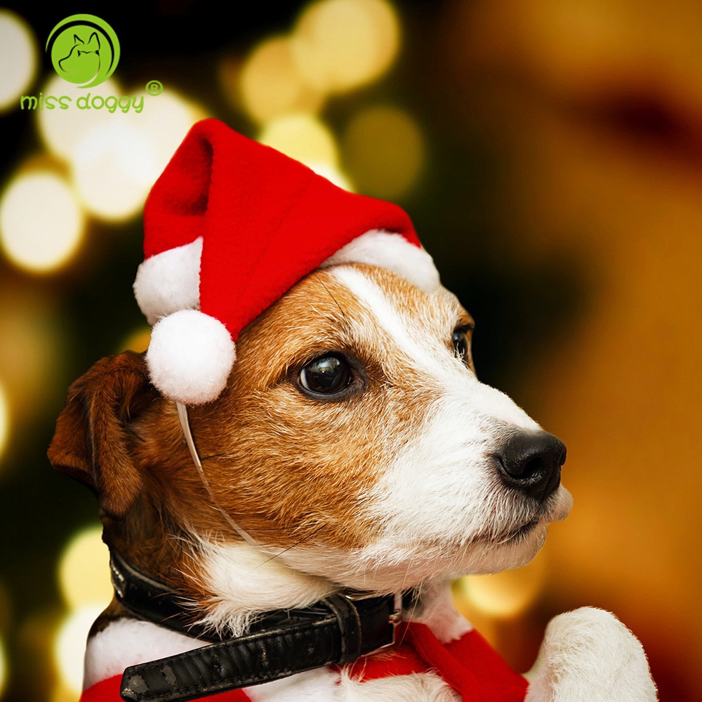 1 st Kerst Hond Kleding Cap Grappige non-woven Santa Hoed Voor Honden Nieuwjaar Xmas Decoratie Voor party Hond Accessoires