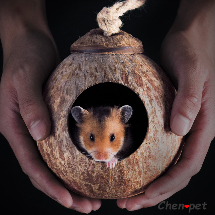 Naturlige små kæledyr kokos bure kæledyr bur til hamster marsvin mus egern træhus til rotte gnaver lille dyr rede
