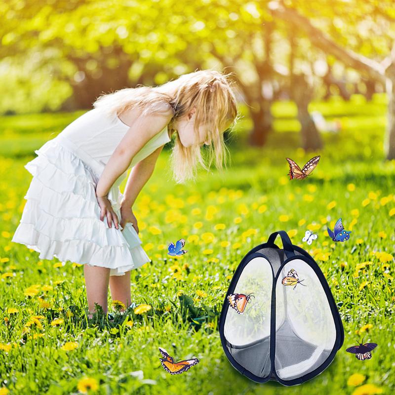 Siedlisko owadów i motyli małe zwierzę klatka owadowa klatka obserwacyjna motyla czysta roślina siatka przeciw insektom