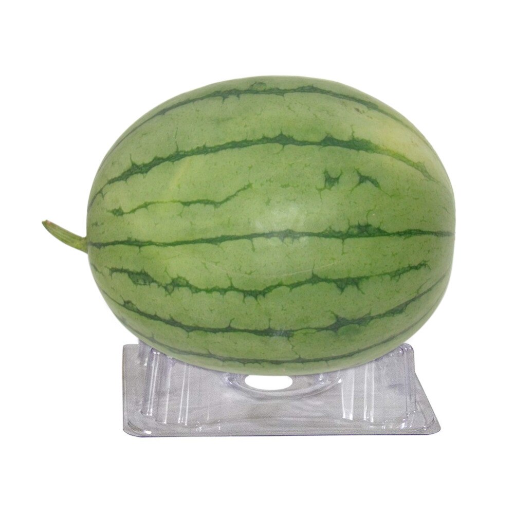 Soporte de melón de plástico, 24 Uds., soporte para planta de jardín para evitar roturas para fruta de calabaza y sandía