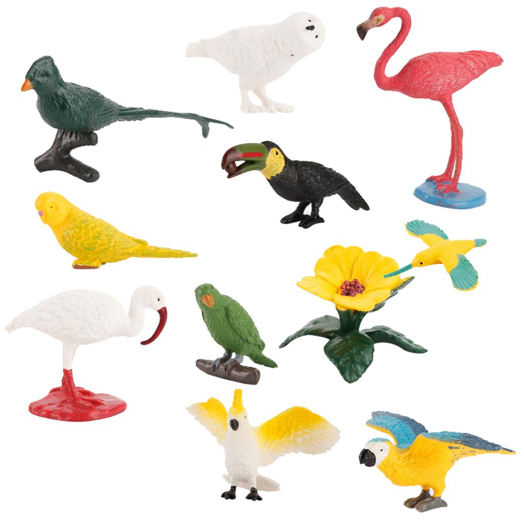 10 Pieces Simulated Bird Model Plastic Realistic Animal Figure Toy Dollhouse