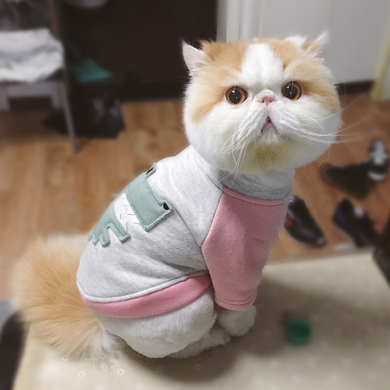 Cat Clothes Cotton Pet Cat Clothing for Small Cats Costume Kitten Outfit Winter Christmas Cats Clothing Mascotas Pet Dog Clothes