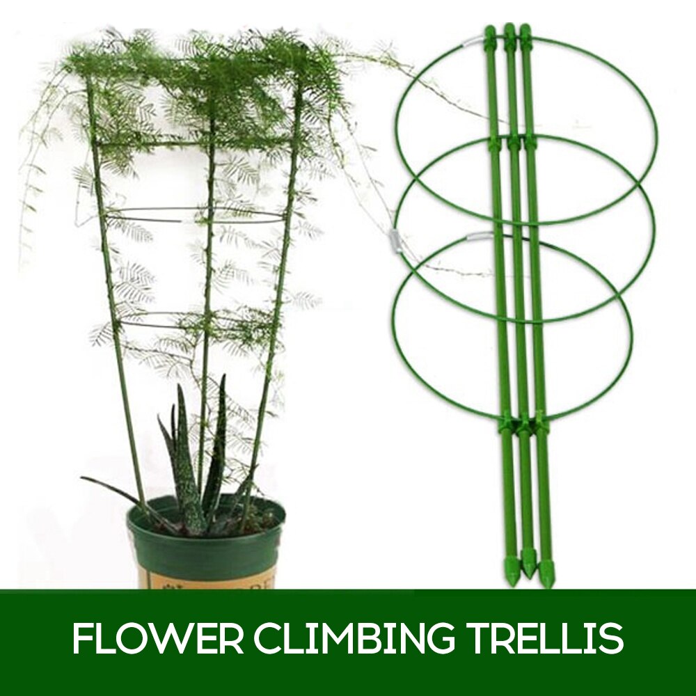 Blomma klättring spaljé växt stam stöd grönsaksstöd rack trädgård blomma fäste för innergård trädgård inomhus utomhus: Default Title