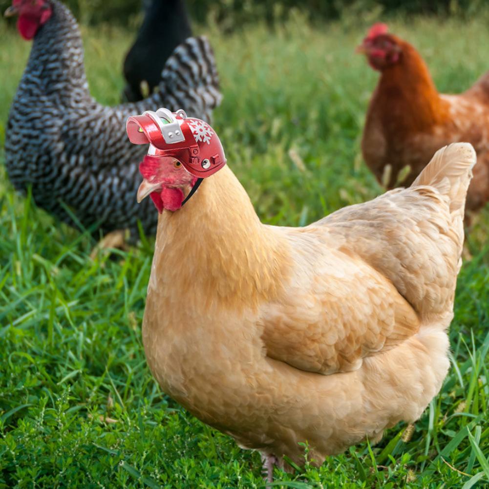 Pet Helmet Funny Chicken Helmet Head Protection Compact Chicken Hen Hard Hat