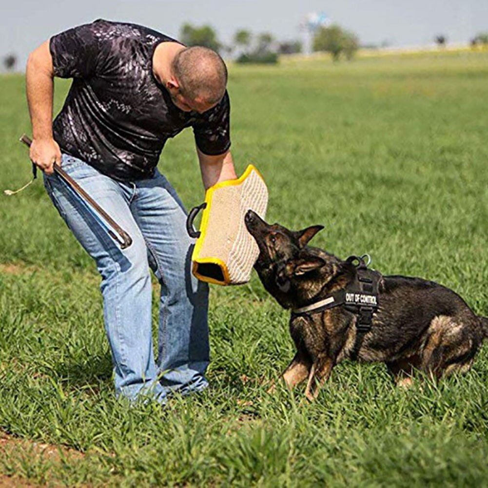 Malinois perro pastor Entrenamiento de mascotas morder remolcadores protección espesar ropa de manga de brazo para entrenamientos de perros